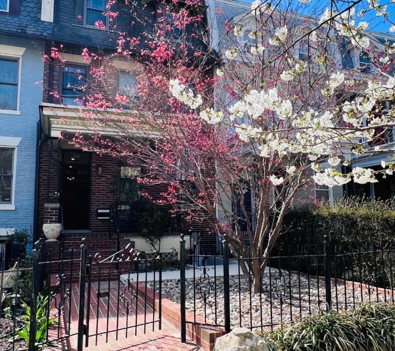 Photo of Others in Bloomingdale