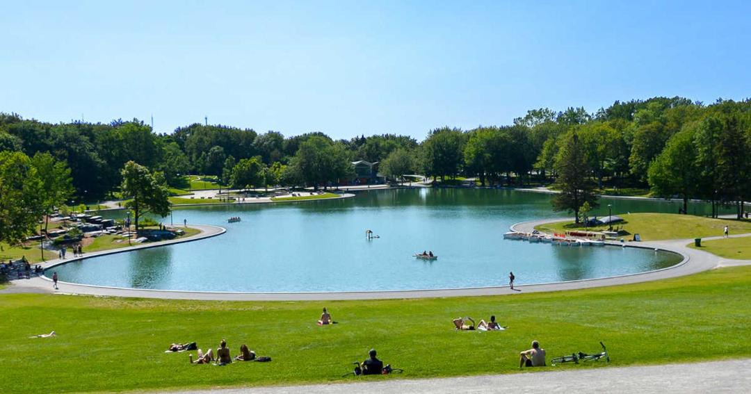 Photo of Others in Laval