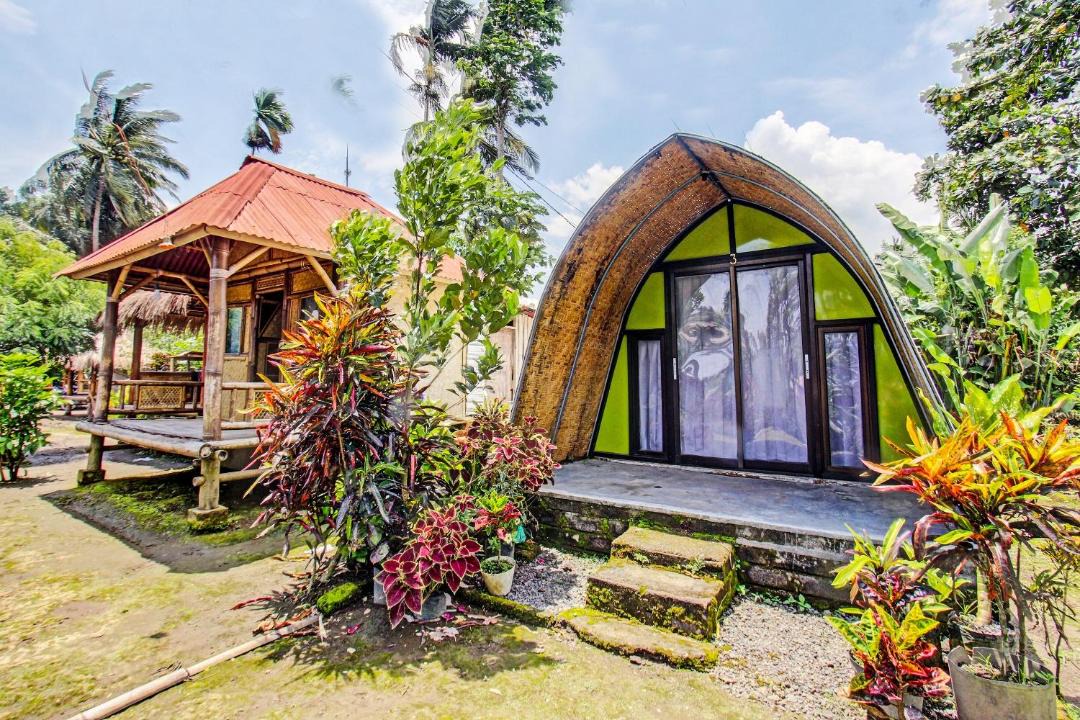 Photo of Others in Lombok