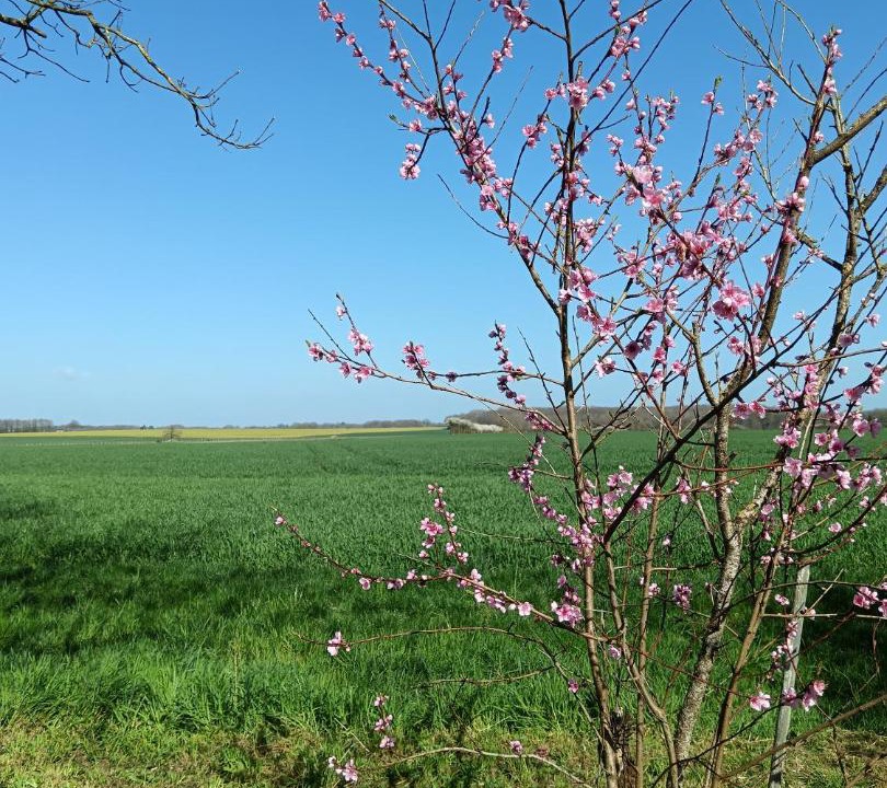 Photo of Others in Lhomme