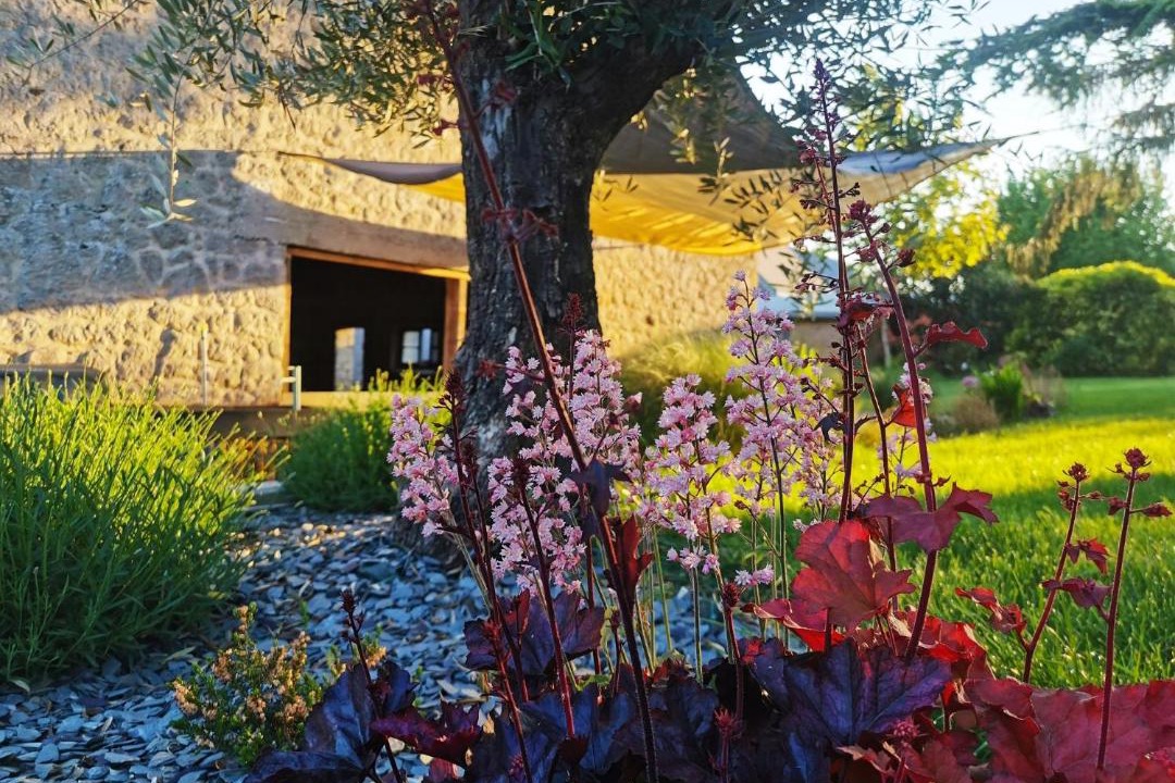 Photo of Others in Herpy-l'Arlesienne