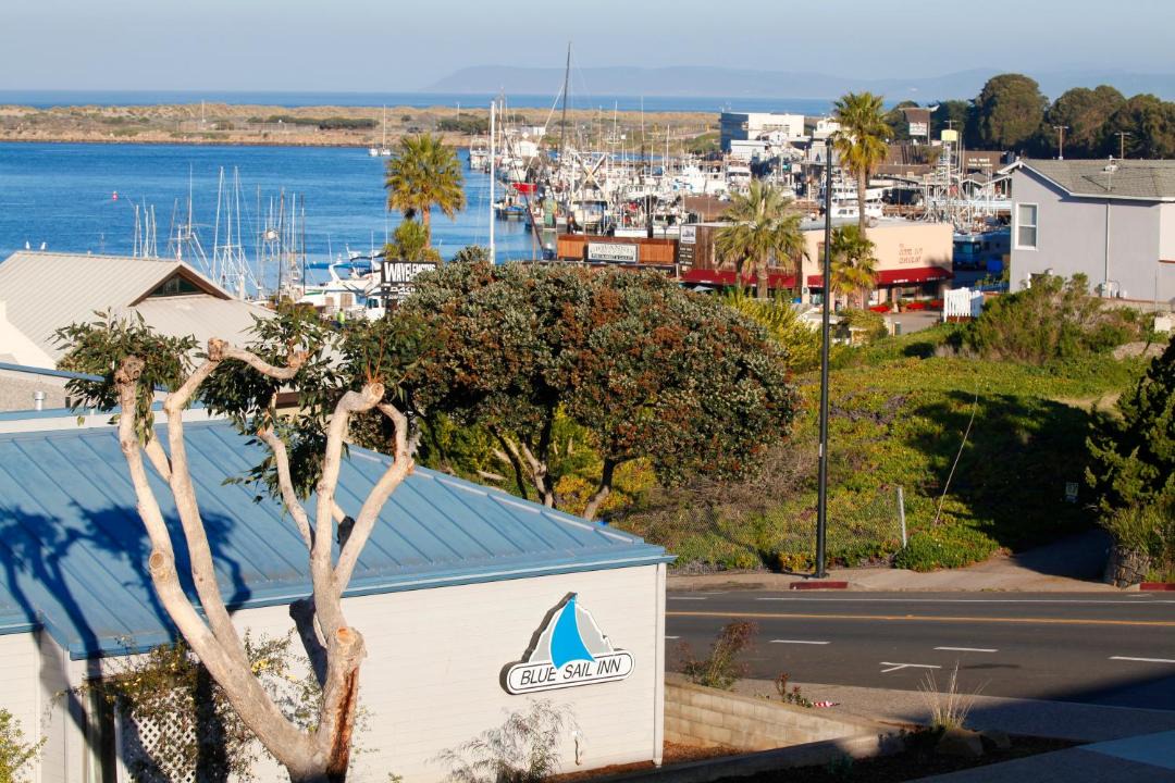 Photo of Others in Morro Bay