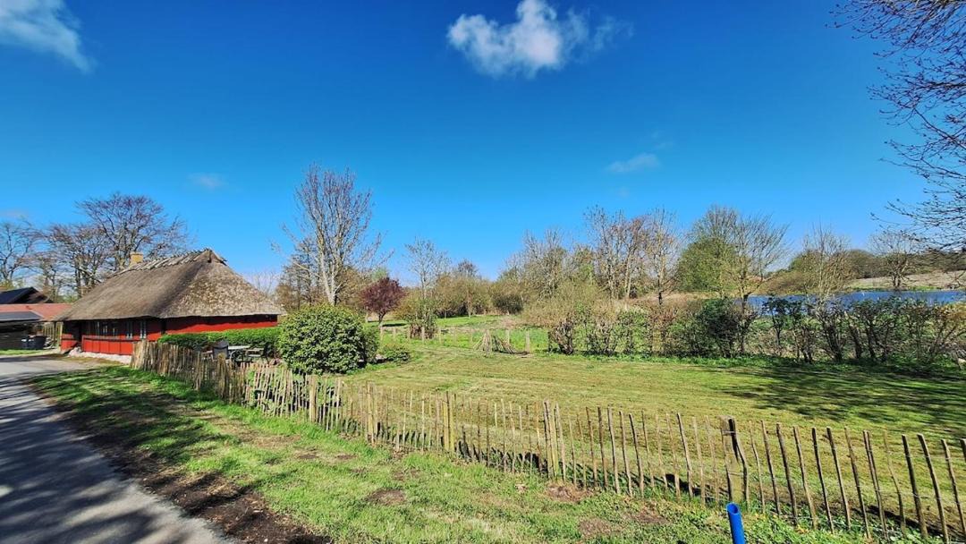 Photo of Others in Dalby