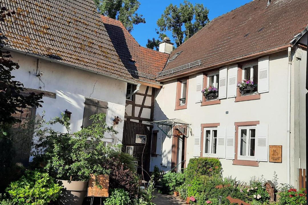 Photo of Others in Reichshoffen