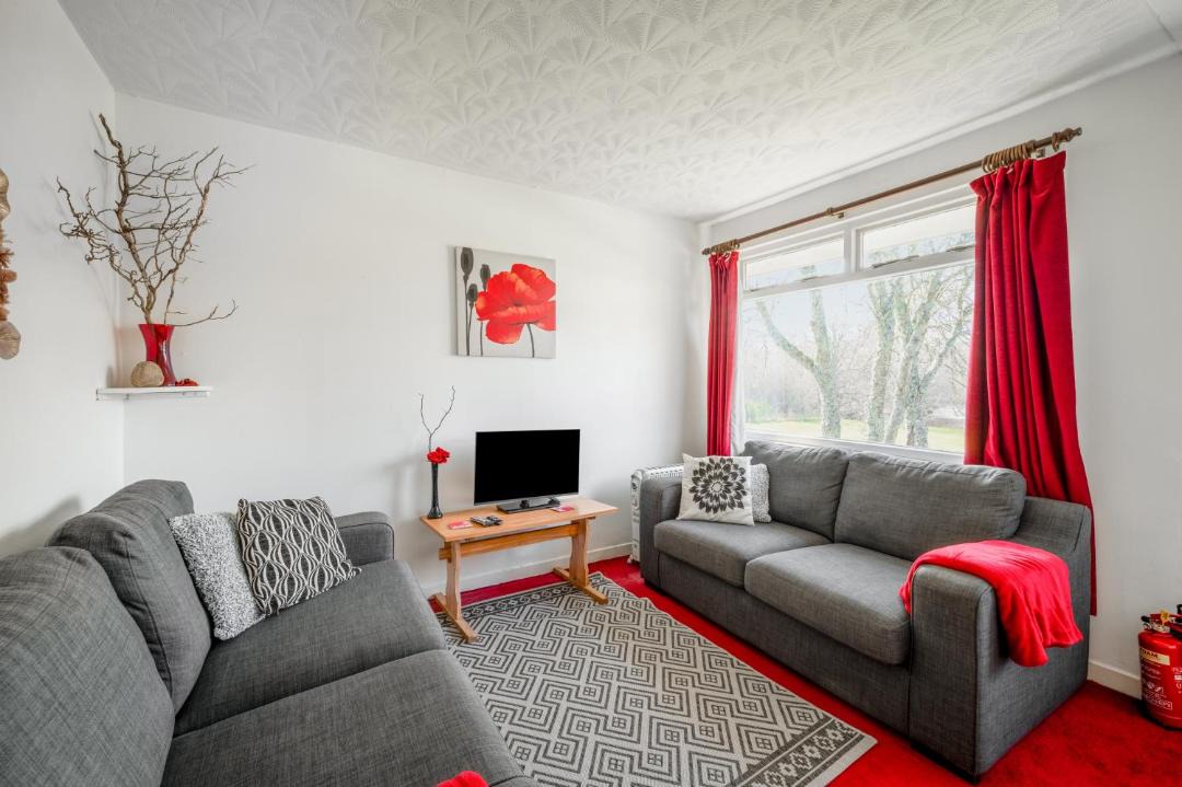 Photo of Others in Contin