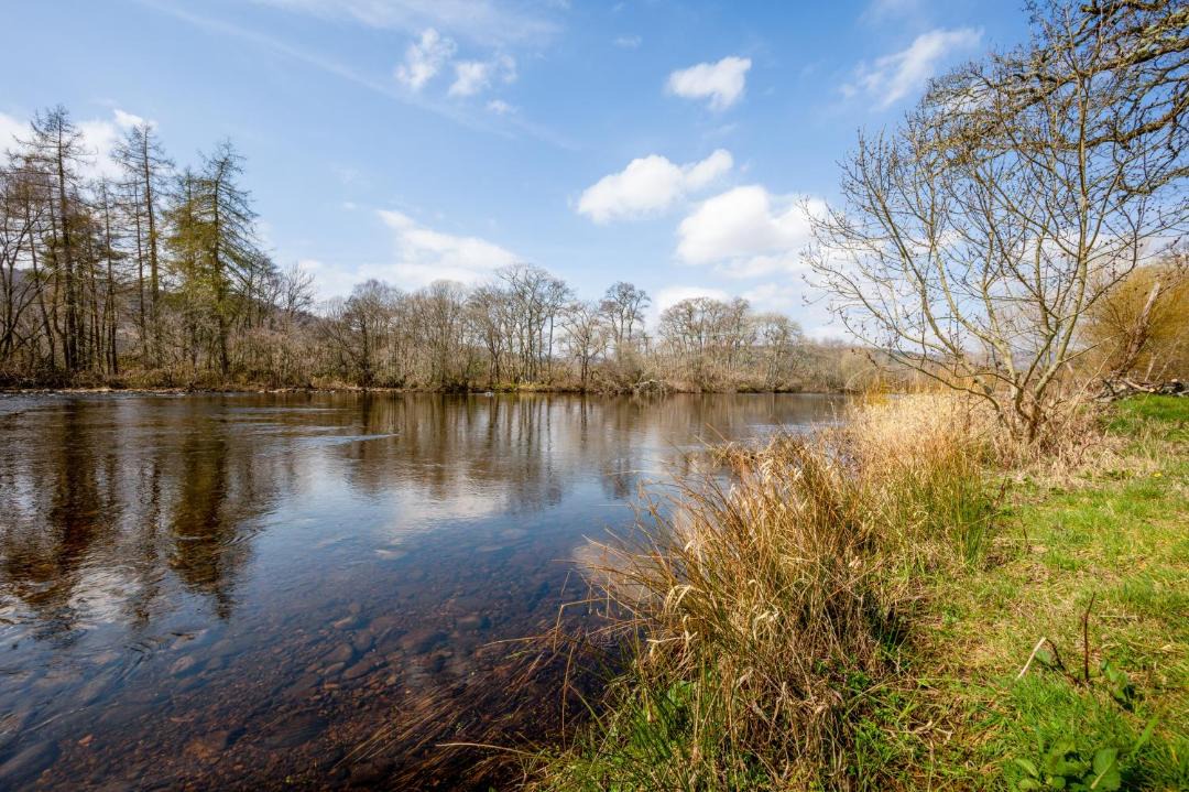 Photo of Others in Contin