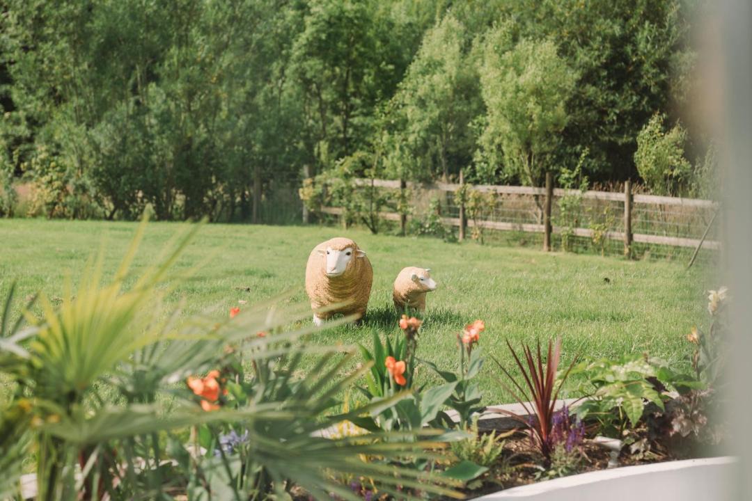 Photo of Others in Crynant