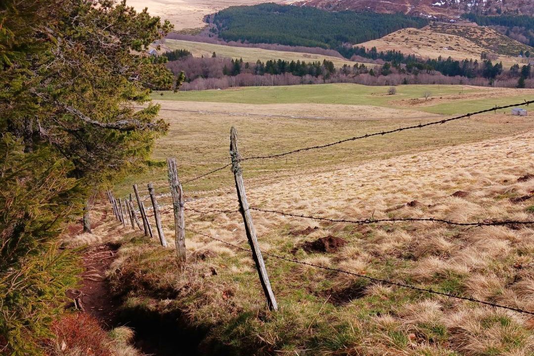 Photo of Others in Orcival