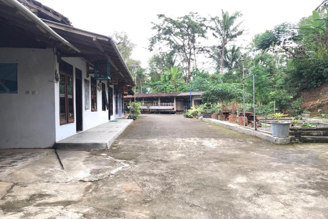 Photo of Others in Kalirejo