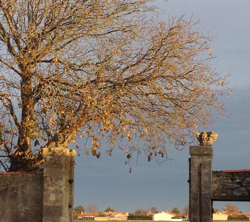 Photo of Others in LHoumeau