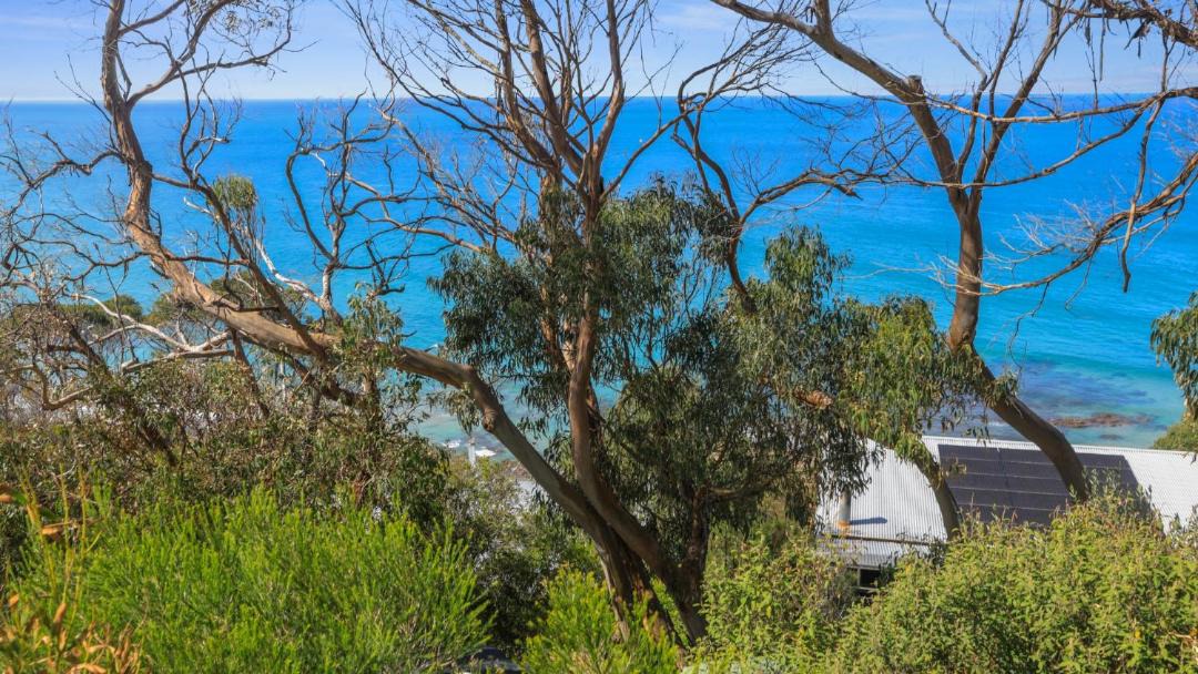 Photo of Others in Wye River