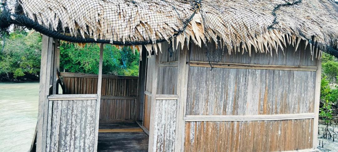 Photo of Others in Manyaifun