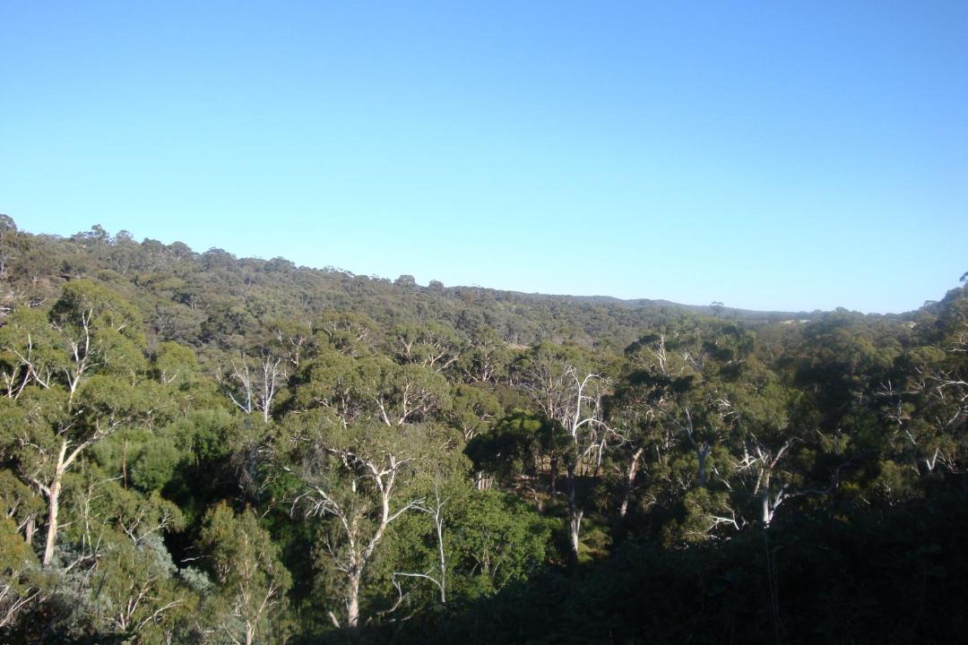 Photo of Others in Shepherds Flat