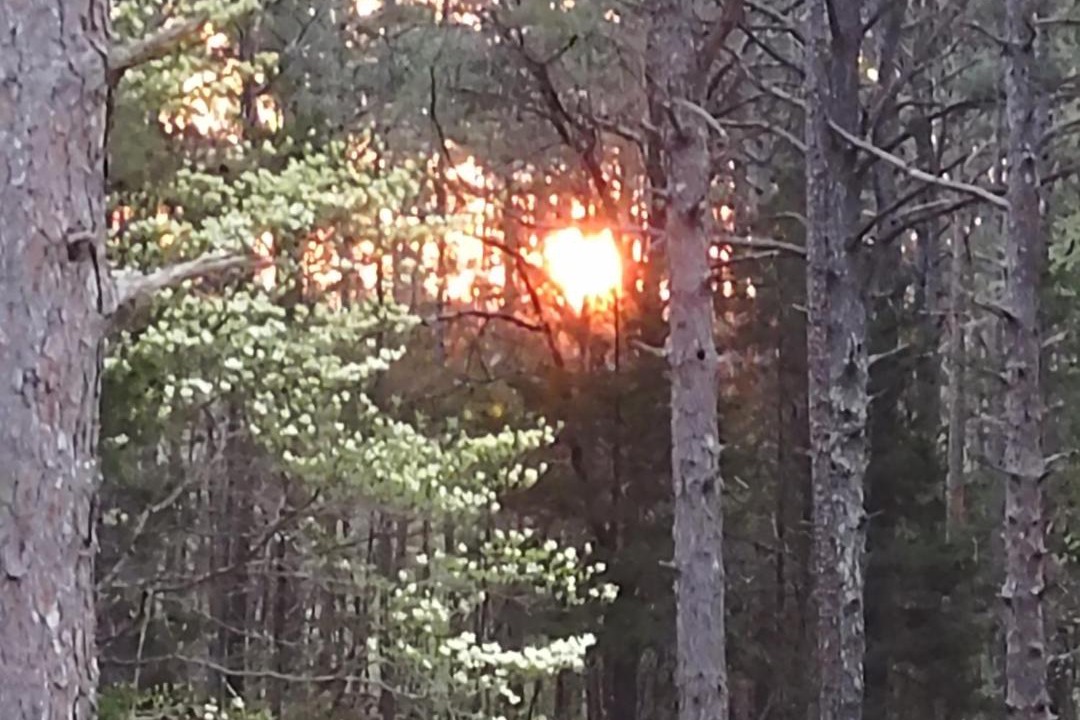 Photo of Others in Hartshorn