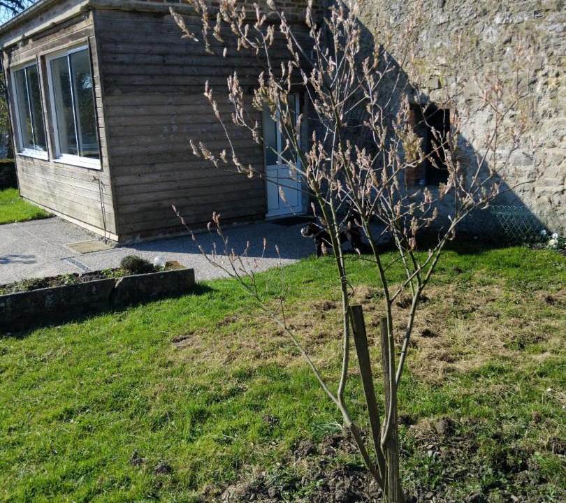 Photo of Others in Saint-Hilaire-sur-Helpe