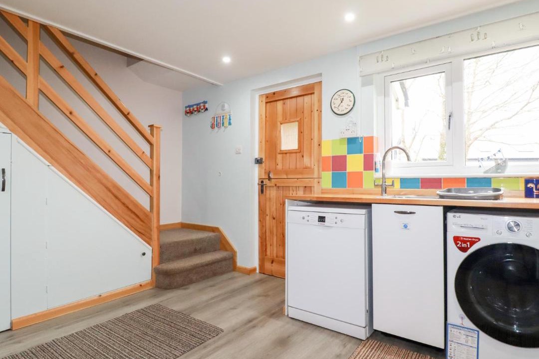 Photo of Others in Rose