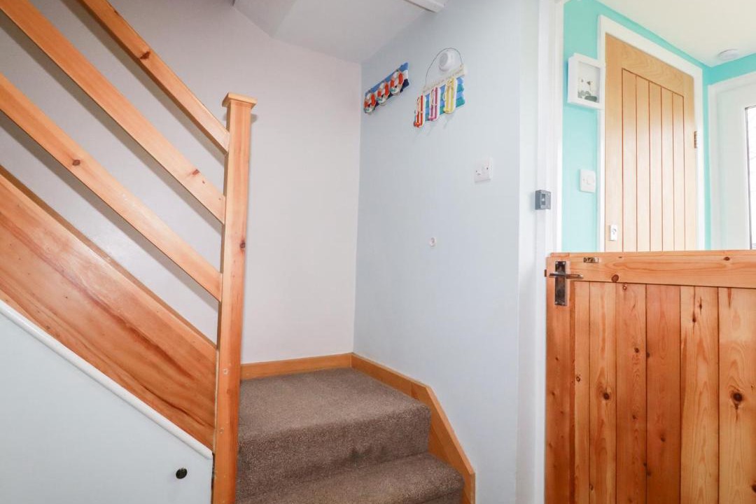 Photo of Others in Rose