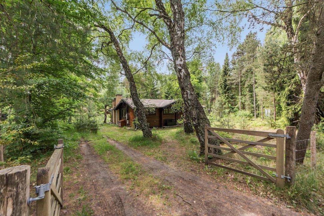 Photo of Others in Frederiksvaerk