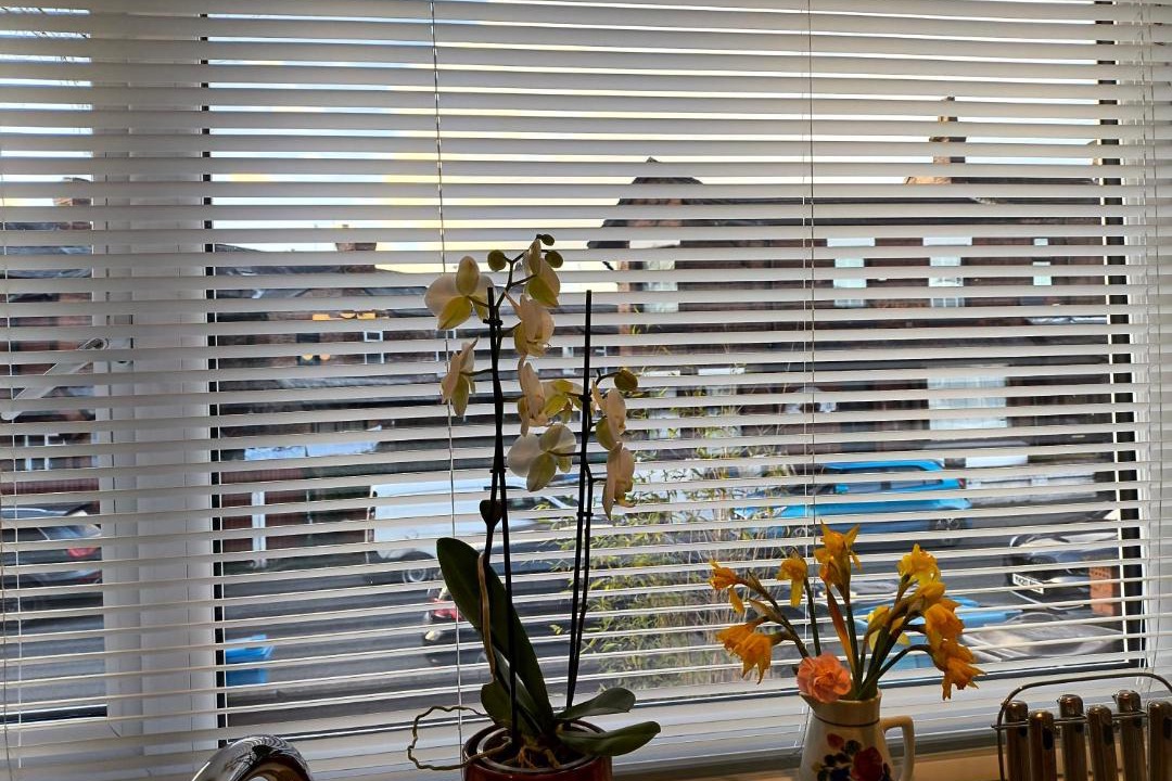 Photo of Others in Failsworth