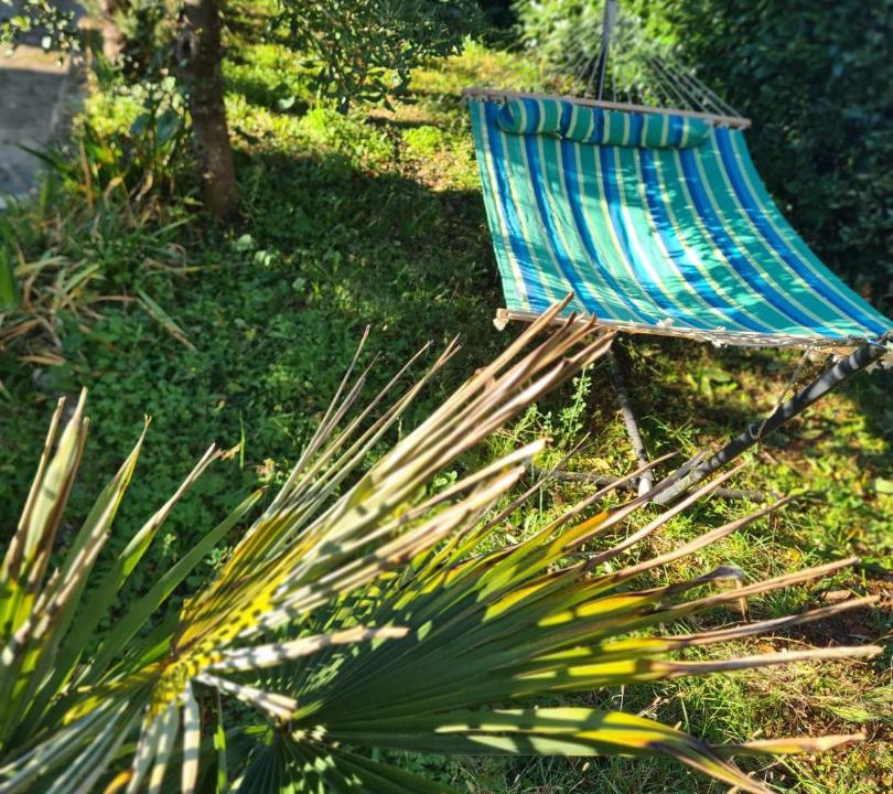 Photo of Outdoor in Njivice