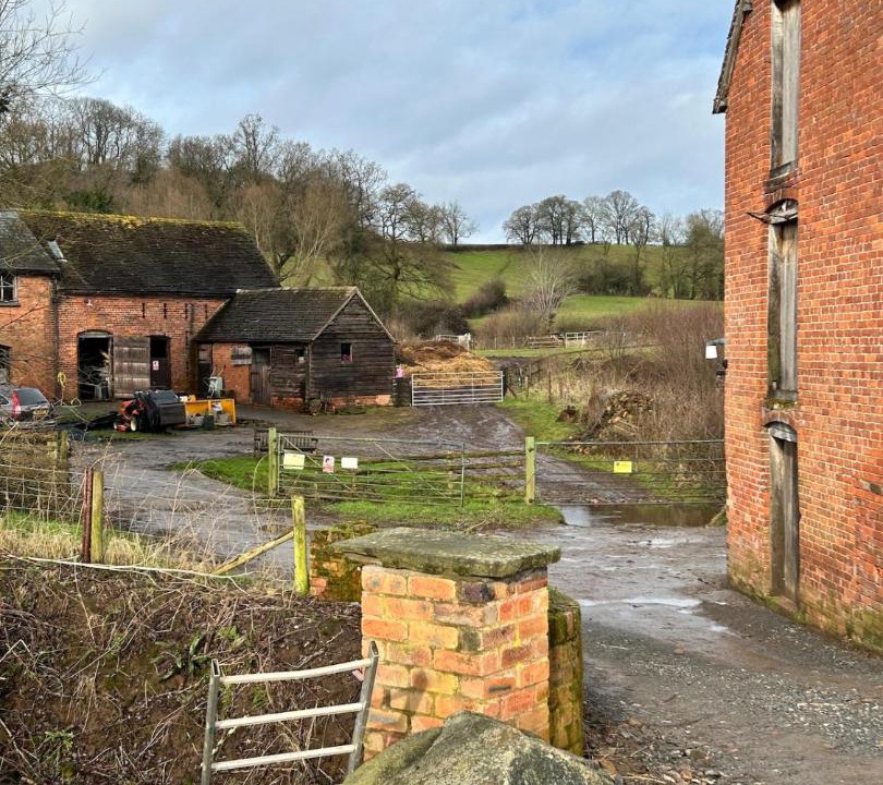 Photo of Others in Angelbank