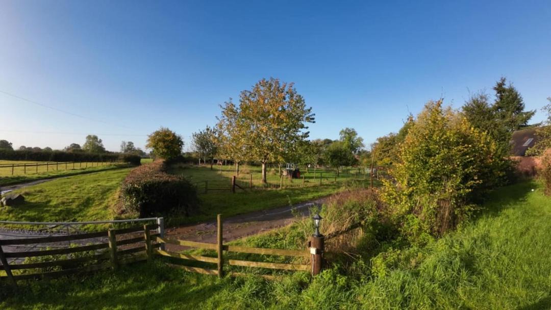 Photo of Others in Angelbank