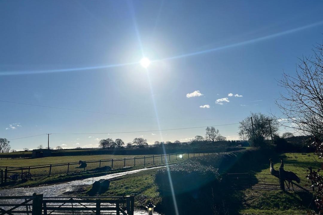 Photo of Others in Angelbank