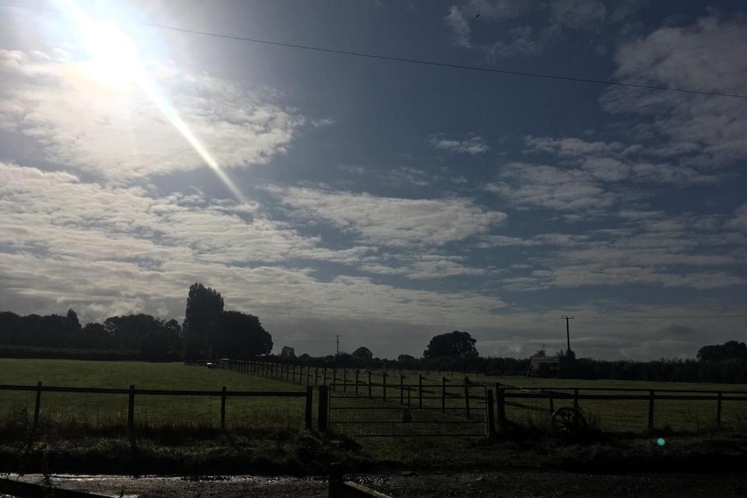 Photo of Others in Angelbank