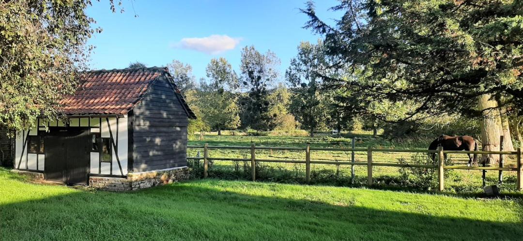 Photo of Others in Cavron-Saint-Martin