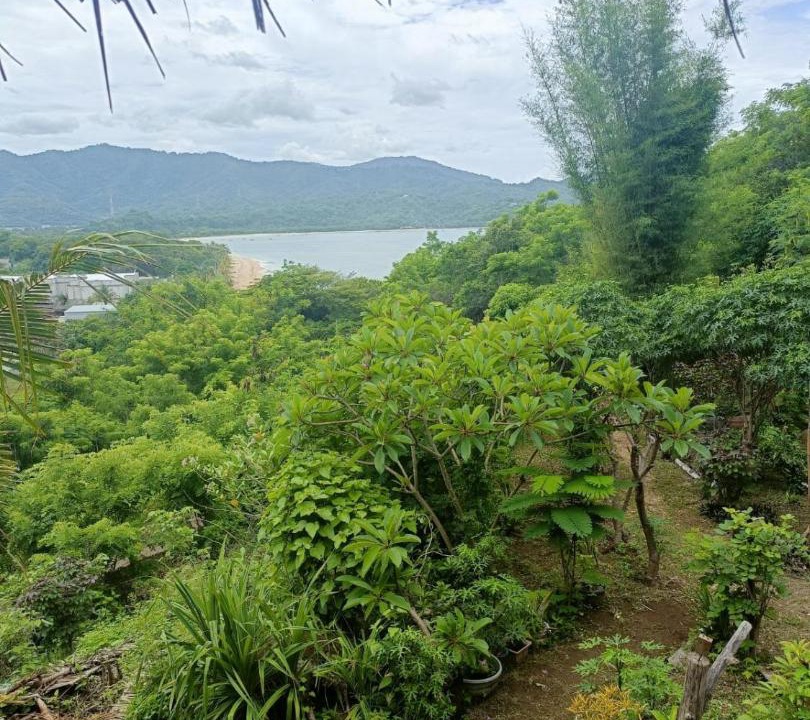 Photo of Others in Sumbawa Barat
