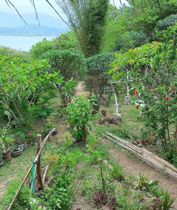 Photo of Others in Sumbawa Barat