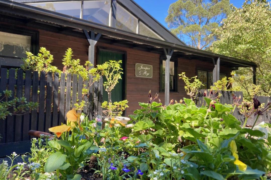 Photo of Others in Ferny Creek