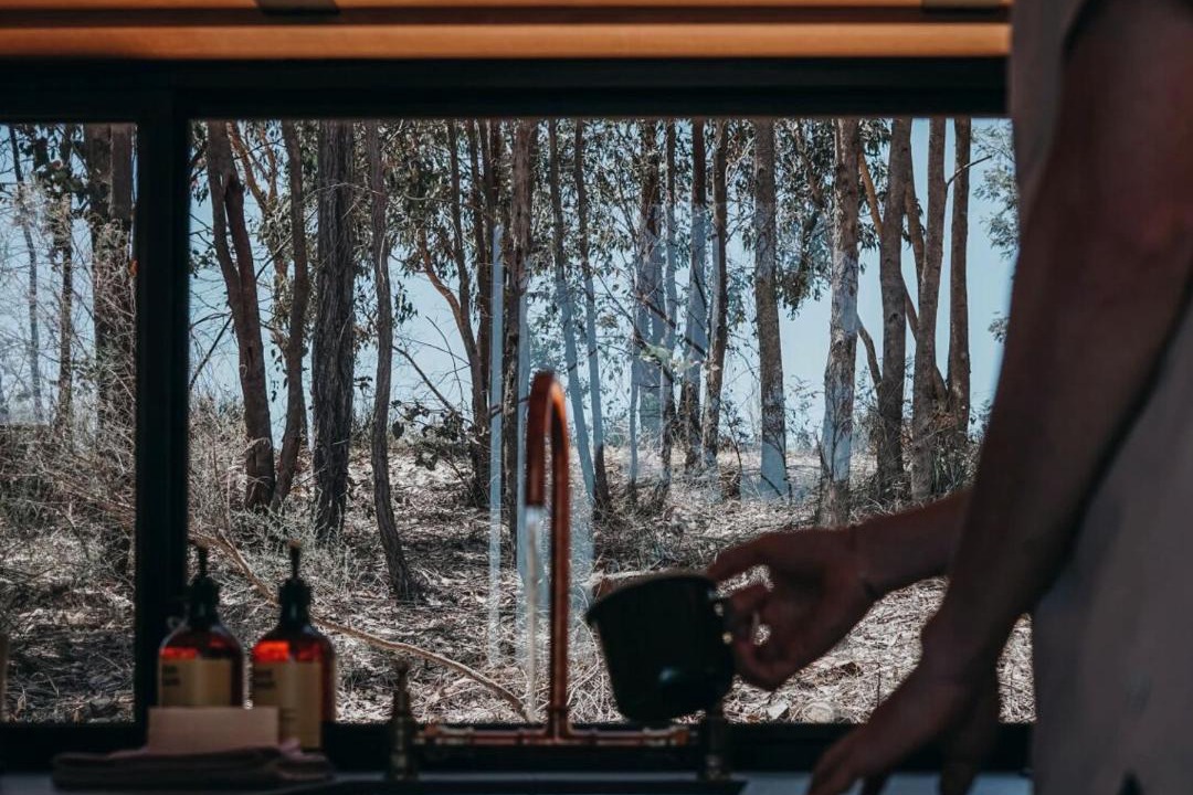 Photo of Others in Reedy Creek