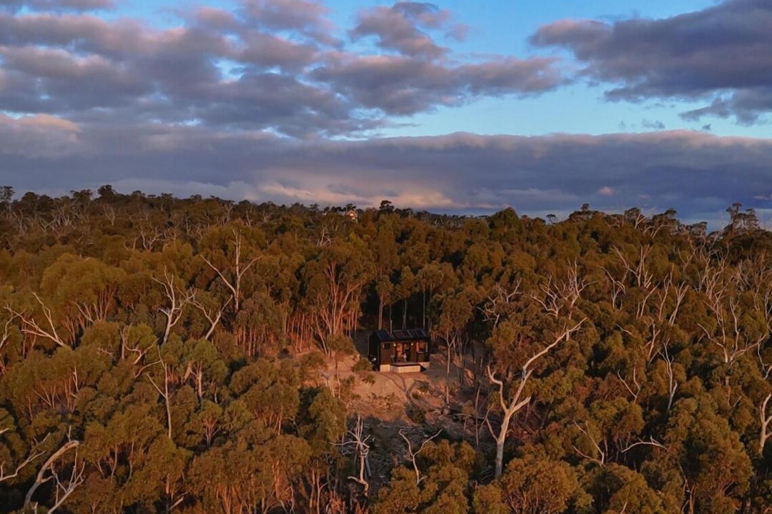 Photo of Others in Reedy Creek