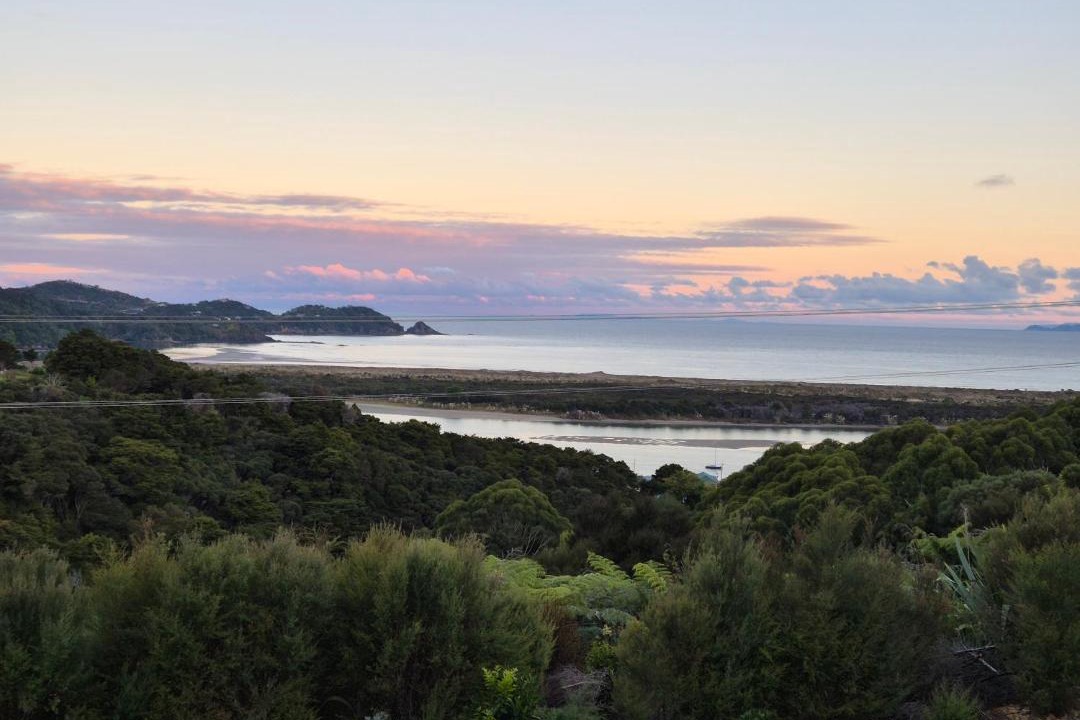 Photo of Others in Ngunguru