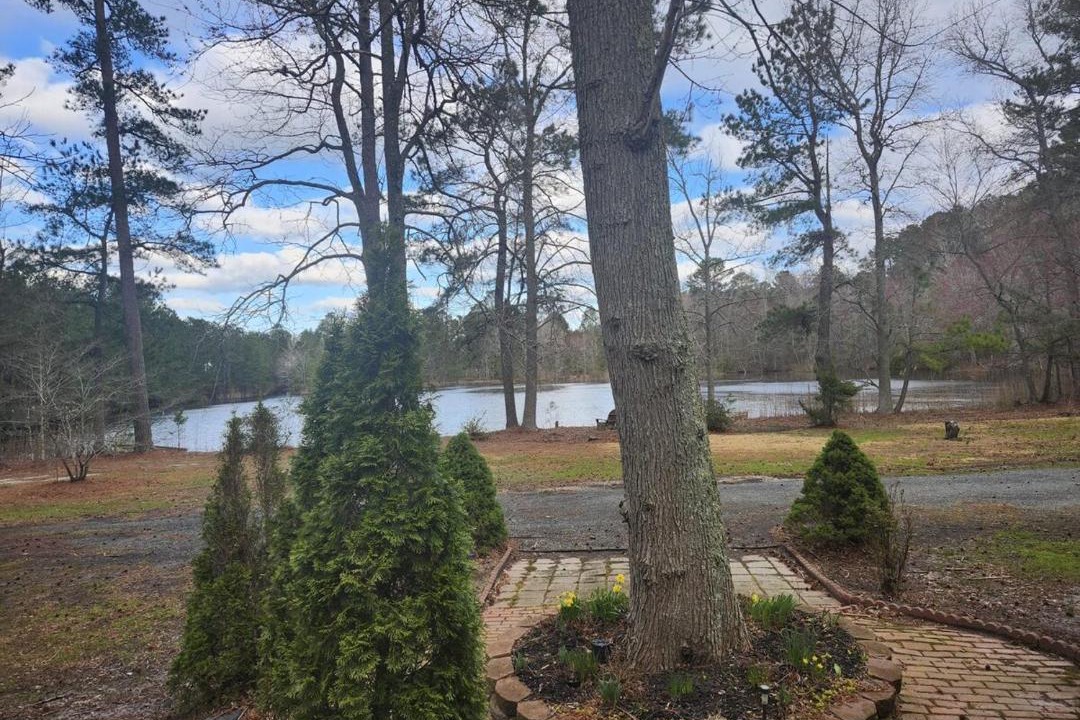 Photo of Others in Marion Station