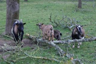 Photo of Human In Picture in Montaigu-les-Bois