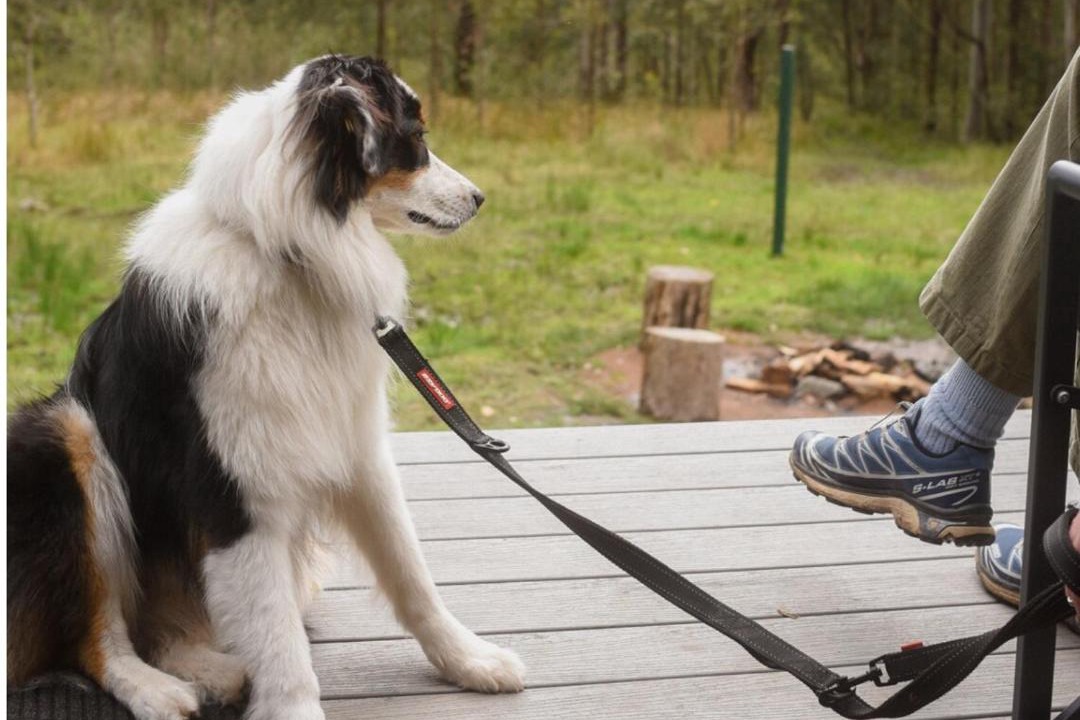 Photo of Others in Main Creek