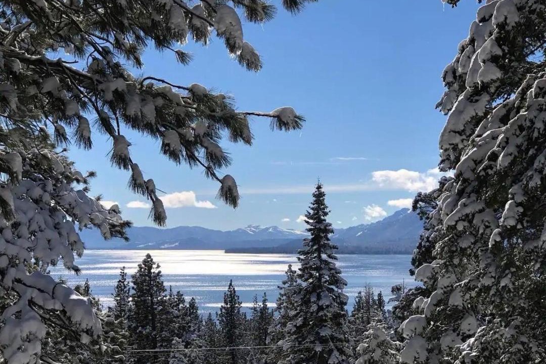 Photo of Others in Tahoe Woods