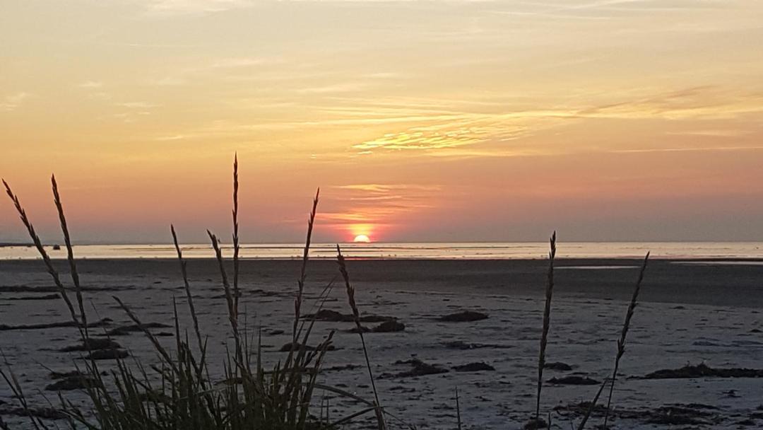 Photo of Others in Bønnerup Strand