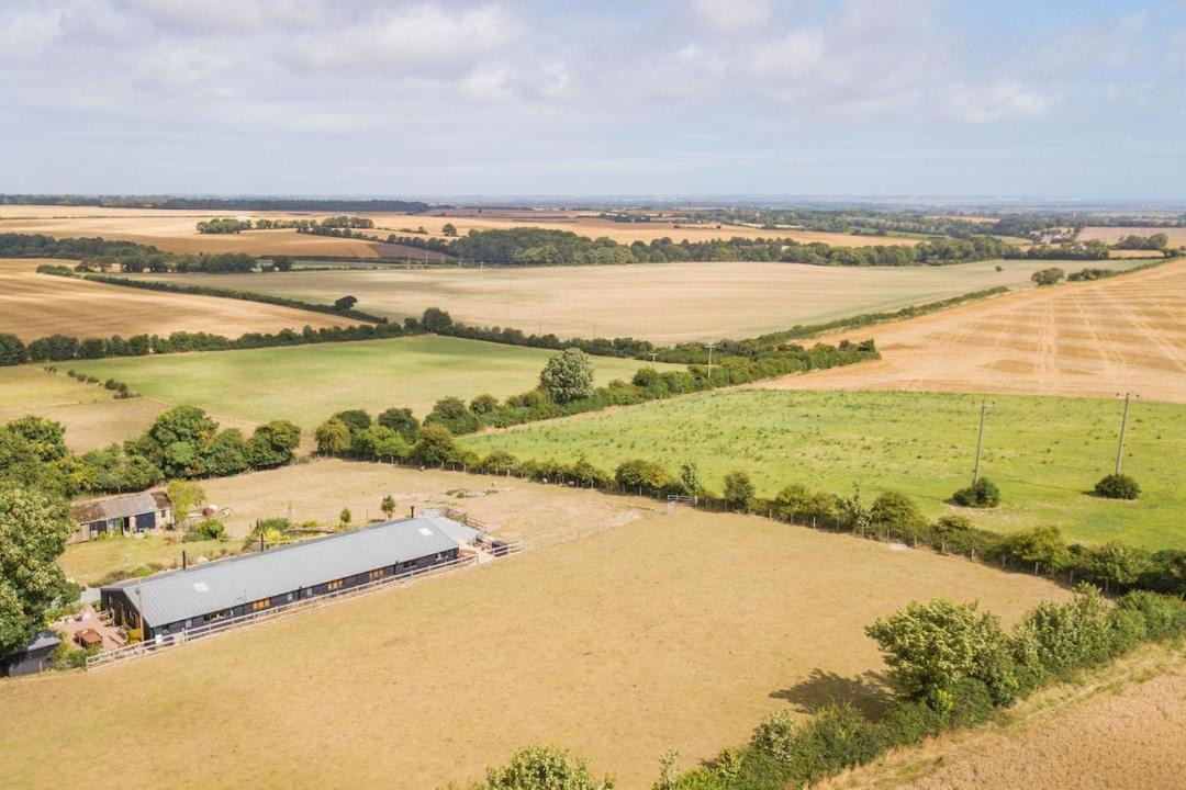 Photo of Others in Martin