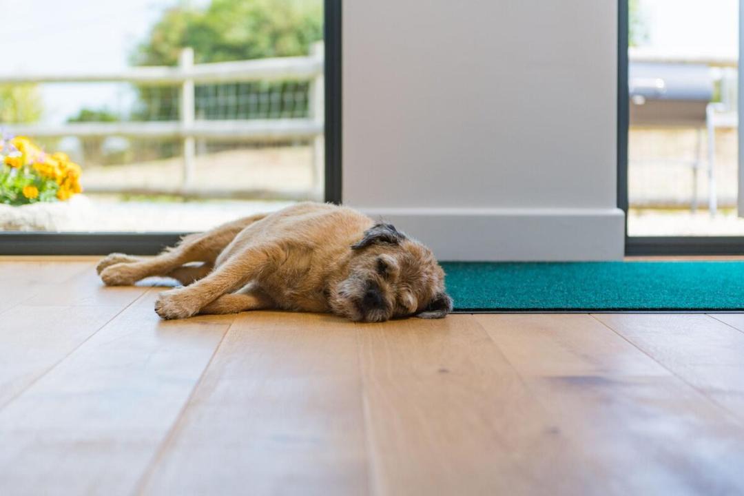 Photo of Others in Martin