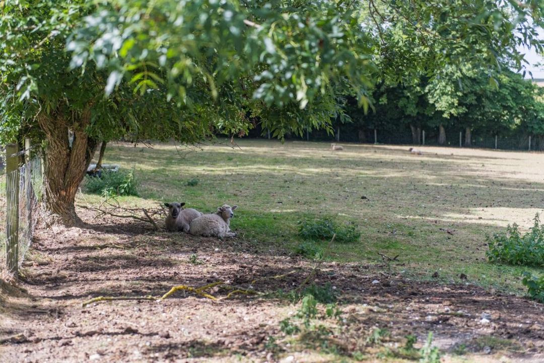 Photo of Others in Martin