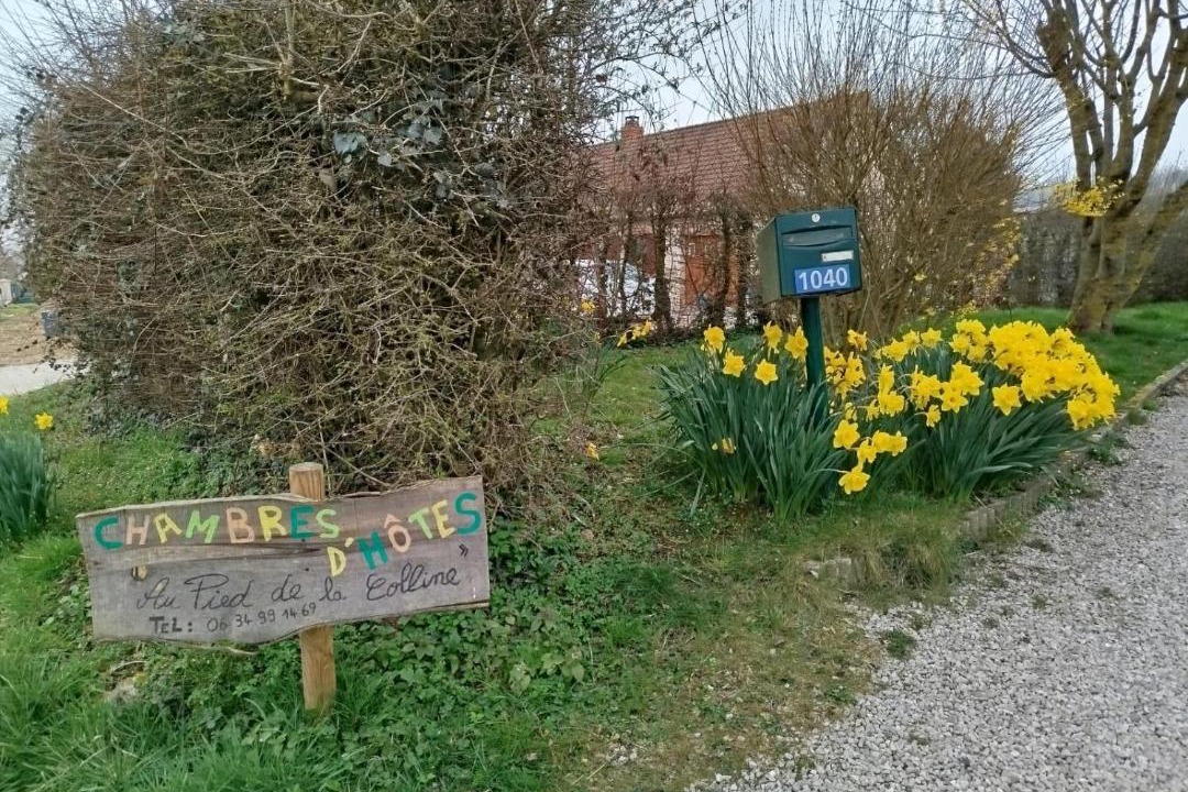 Photo of Outdoor in Alembon