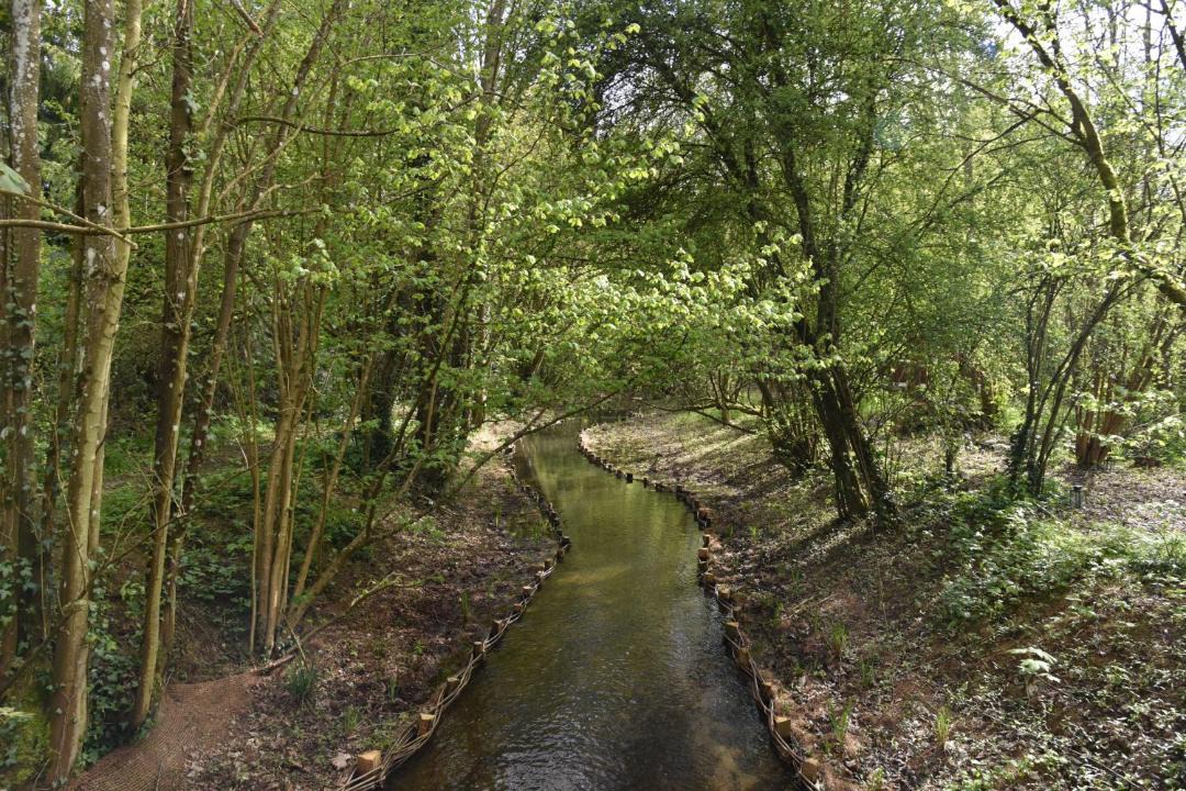 Photo of Others in Vermand