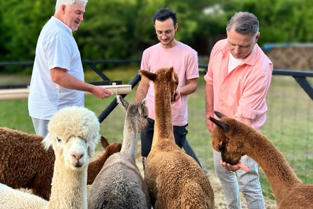 Photo of Others in Limalonges