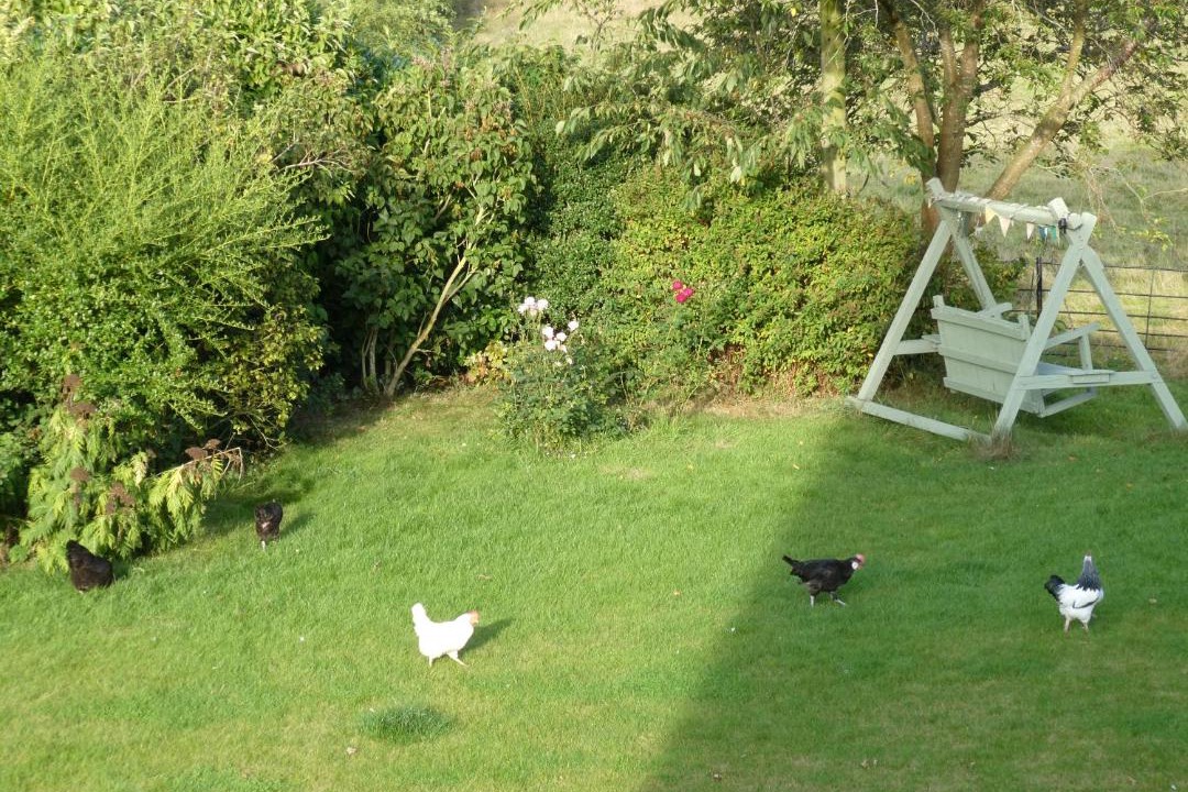 Photo of Others in Clows Top