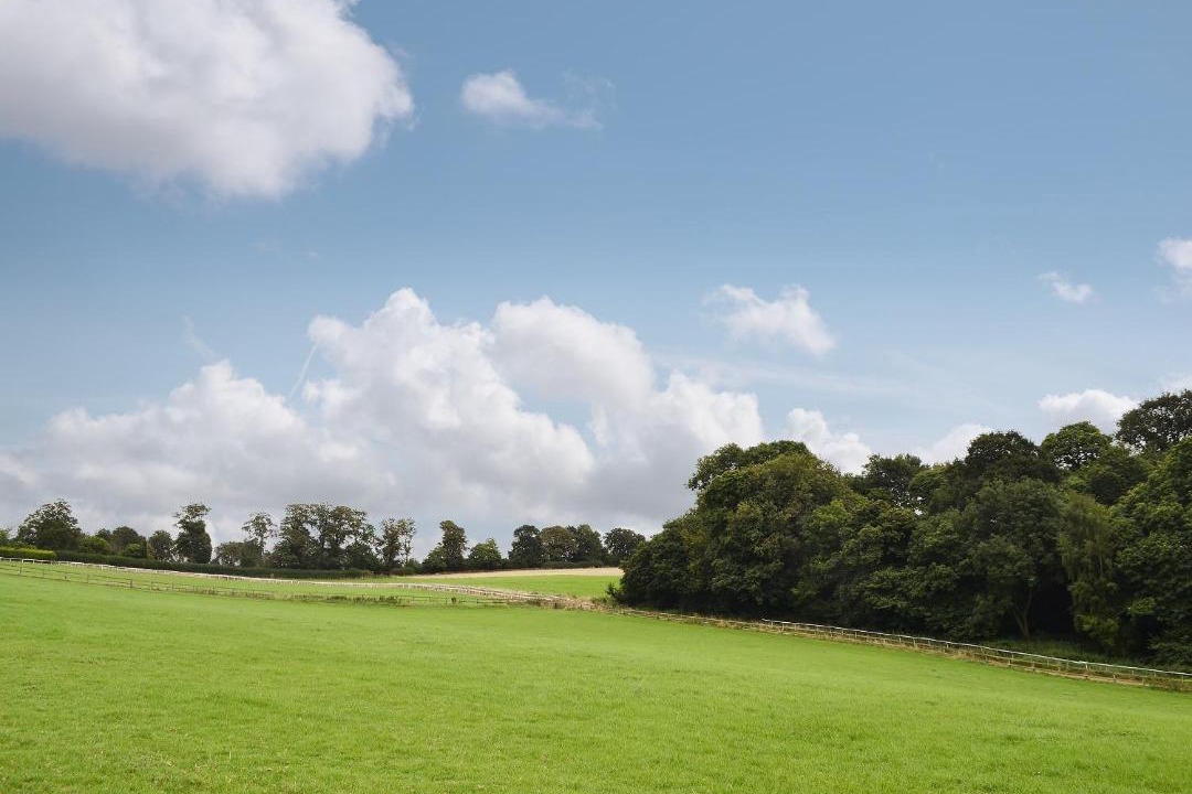 Photo of Others in Godstone