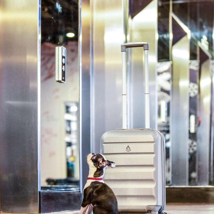 Photo of Others in Glasgow Westend