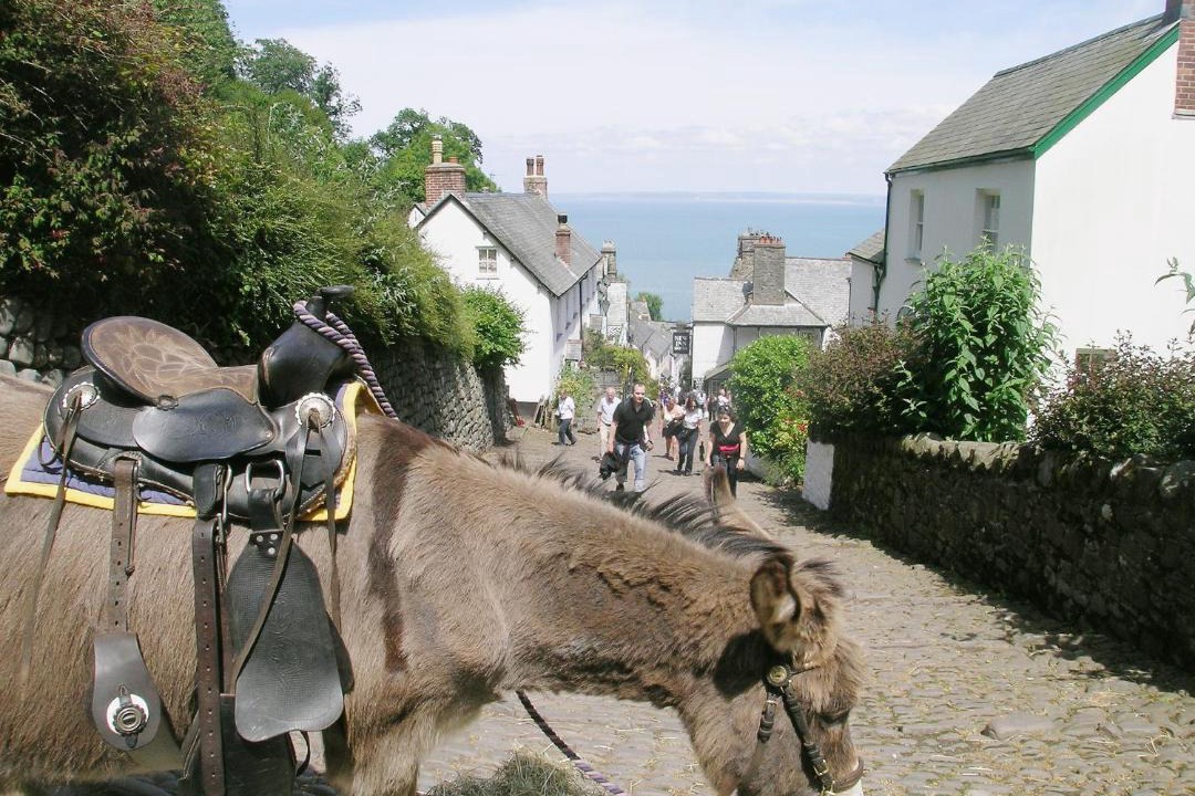 Photo of Others in Shebbear